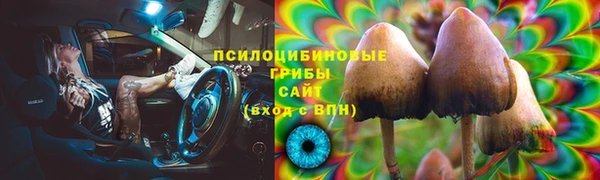 спиды Богородск
