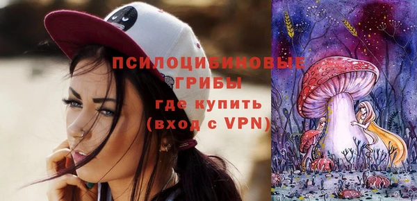 спиды Богородск