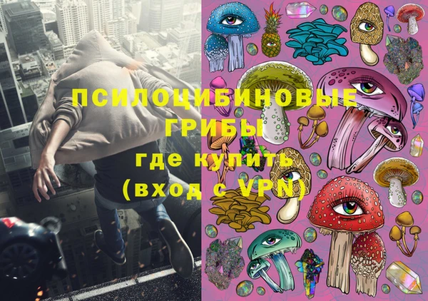 соль ск Богородицк