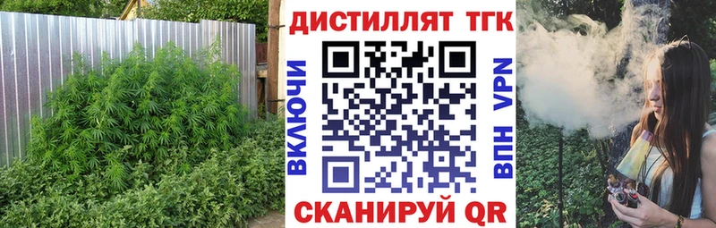 купить наркоту  Большой Камень  MEGA tor  ТГК гашишное масло 